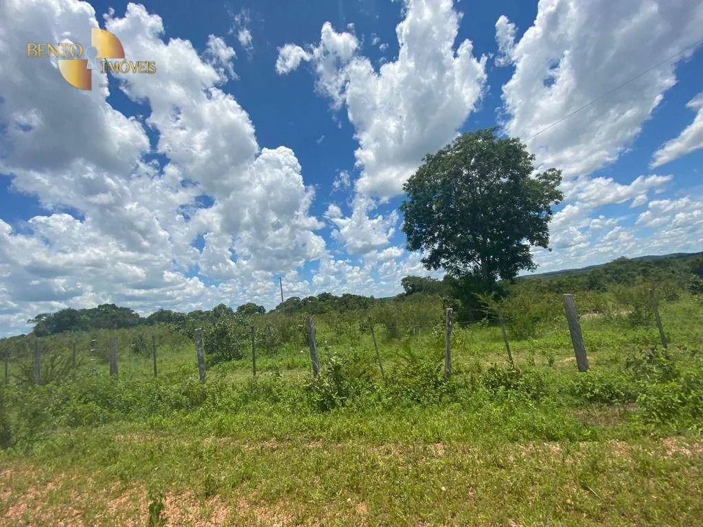 Fazenda à venda de 2.200 ha em Jangada, MT, Brasil