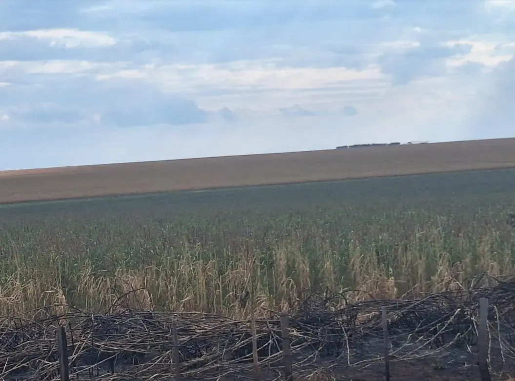Comercial à venda de 32.500 ha em San Pedro de Ycuamandiyú, Paraguai