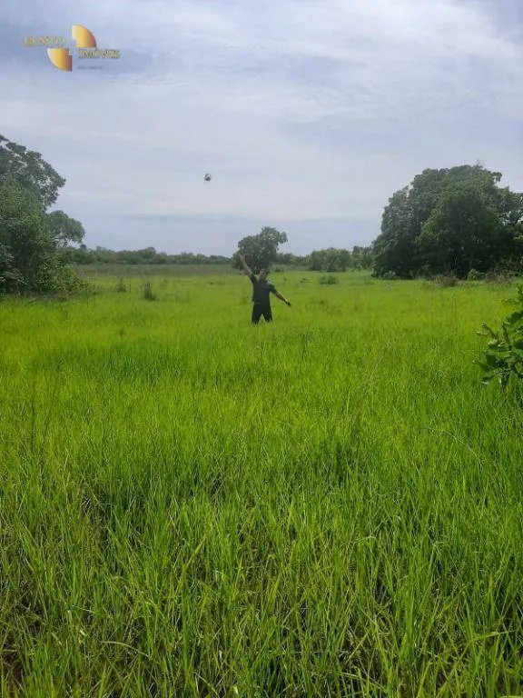 Fazenda à venda de 550 ha em Rosário Oeste, MT, Brasil