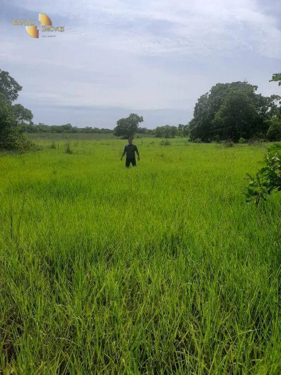 Fazenda à venda de 550 ha em Rosário Oeste, MT, Brasil