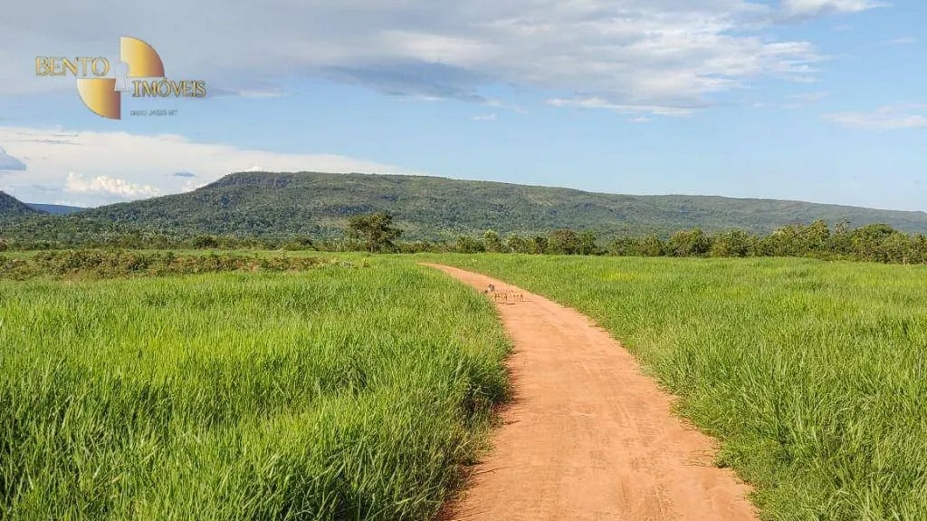 Fazenda à venda de 550 ha em Rosário Oeste, MT, Brasil
