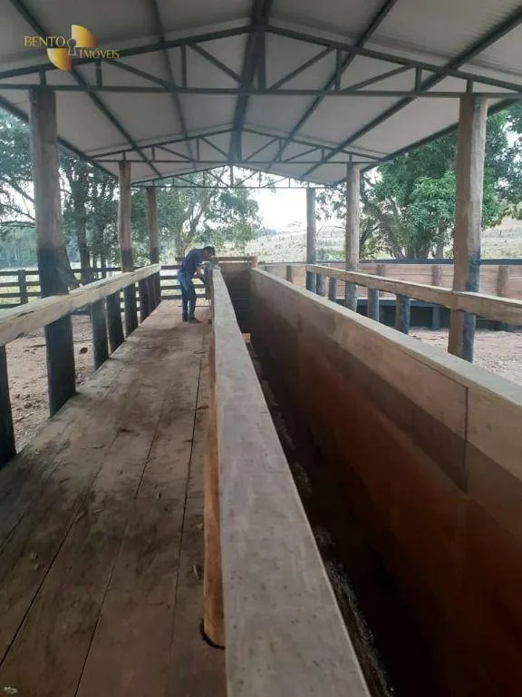 Fazenda à venda de 550 ha em Rosário Oeste, MT, Brasil