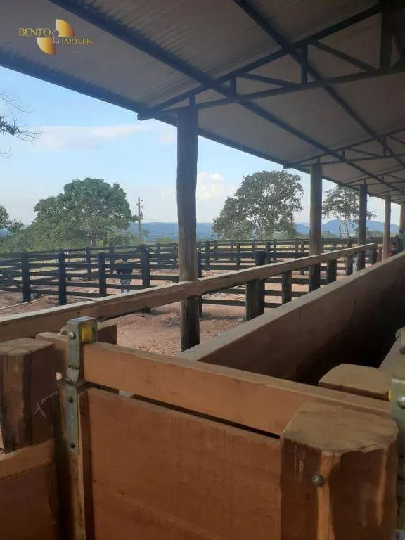 Fazenda à venda de 550 ha em Rosário Oeste, MT, Brasil