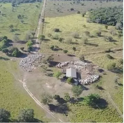 Fazenda à venda de 3.146 ha em Cocalinho, MT, Brasil