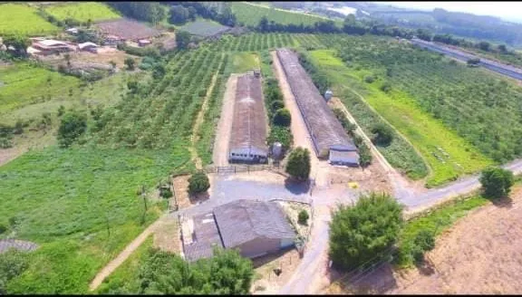 Sítio à venda e para Arrendar de 17 ha em Pilar do Sul, SP, Brasil