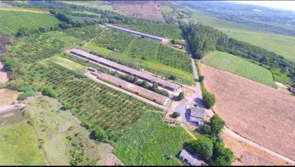 Sítio à venda e para Arrendar de 17 ha em Pilar do Sul, SP, Brasil