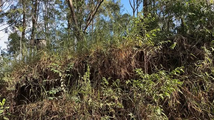 Country home for sale of 5 acres in Gravataí, RS, Brazil