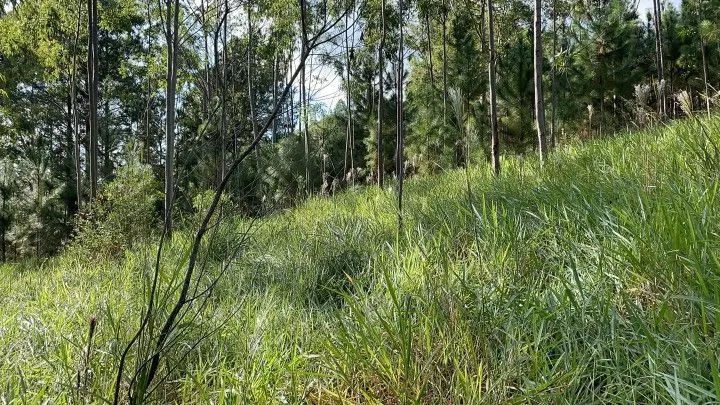 Country home for sale of 5 acres in Gravataí, RS, Brazil