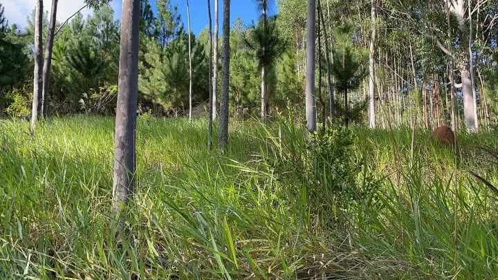 Country home for sale of 5 acres in Gravataí, RS, Brazil