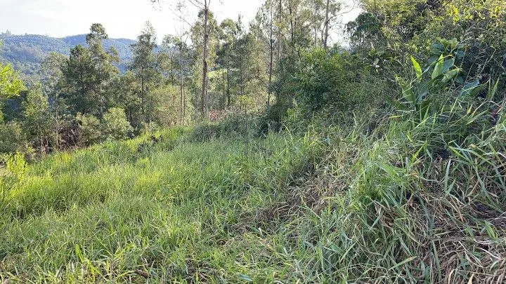 Country home for sale of 5 acres in Gravataí, RS, Brazil
