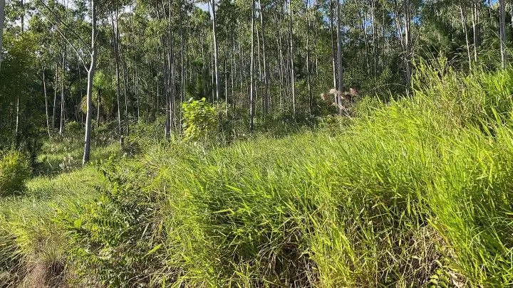 Country home for sale of 5 acres in Gravataí, RS, Brazil