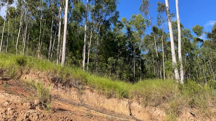 Country home for sale of 5 acres in Gravataí, RS, Brazil
