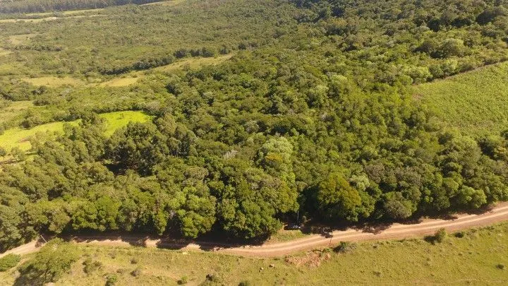 Country home for sale of 5 acres in Gravataí, RS, Brazil