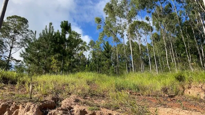 Country home for sale of 5 acres in Gravataí, RS, Brazil