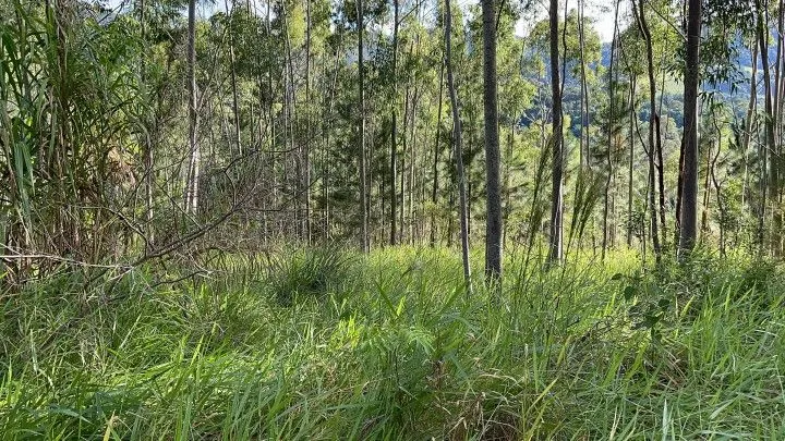 Country home for sale of 5 acres in Gravataí, RS, Brazil
