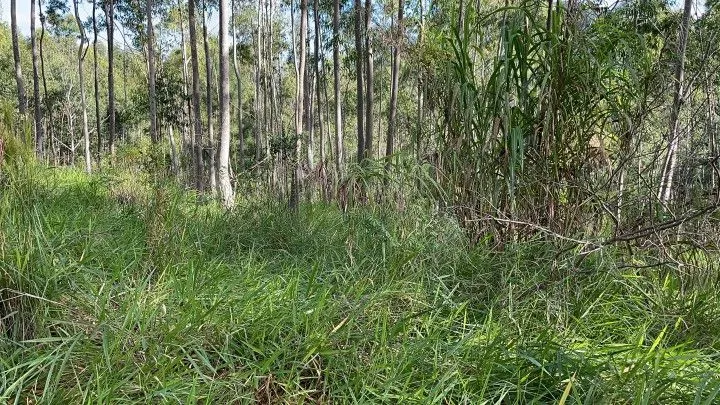Country home for sale of 5 acres in Gravataí, RS, Brazil