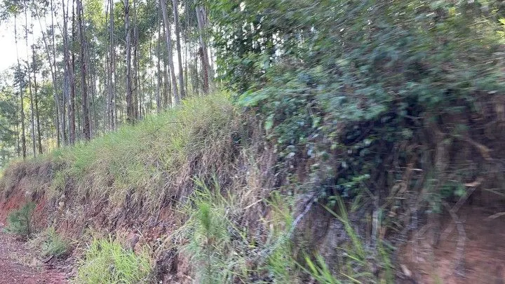 Country home for sale of 5 acres in Gravataí, RS, Brazil