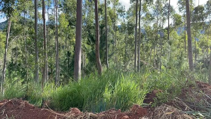 Country home for sale of 5 acres in Gravataí, RS, Brazil