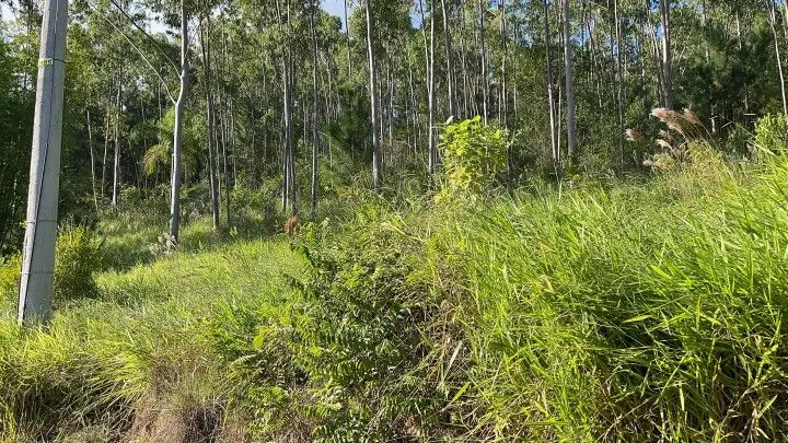 Country home for sale of 5 acres in Gravataí, RS, Brazil