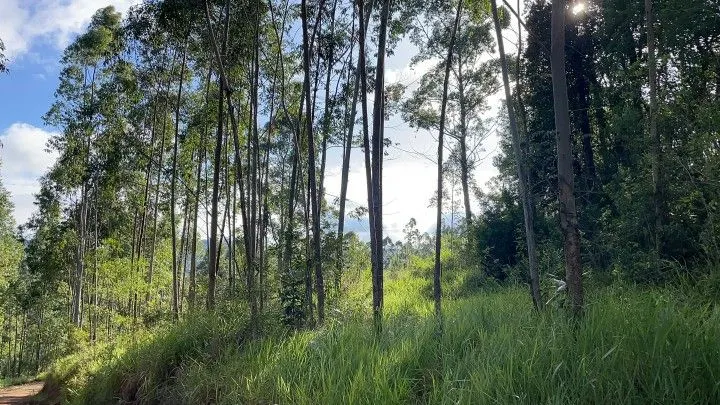 Country home for sale of 5 acres in Gravataí, RS, Brazil