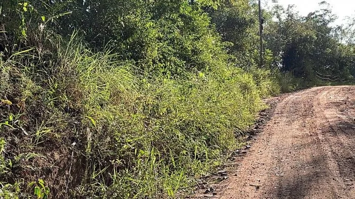 Country home for sale of 5 acres in Gravataí, RS, Brazil