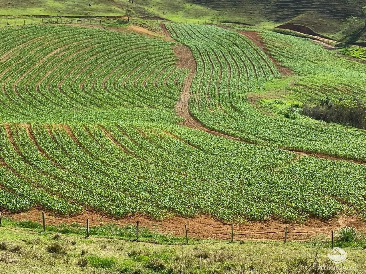 Fazenda à venda de 92 ha em São José do Barreiro, SP, Brasil