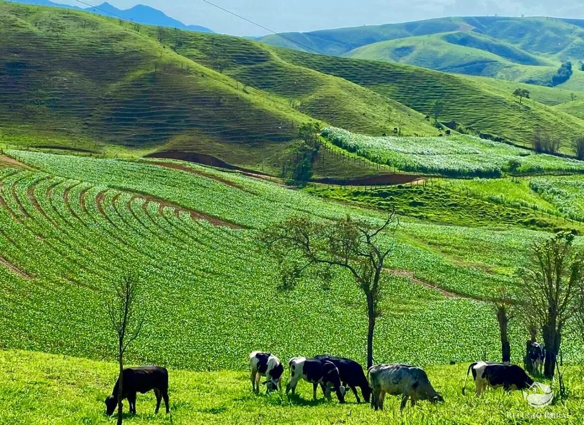 Fazenda à venda de 92 ha em São José do Barreiro, SP, Brasil