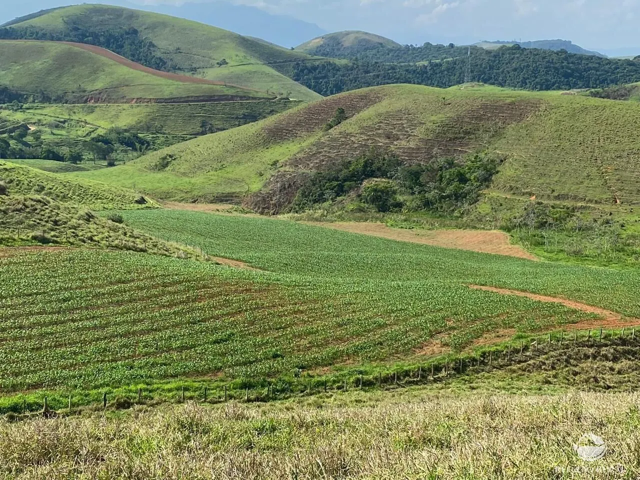 Fazenda à venda de 92 ha em São José do Barreiro, SP, Brasil