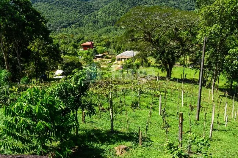 Farm for sale of 37 acres in Camboriú, SC, Brazil
