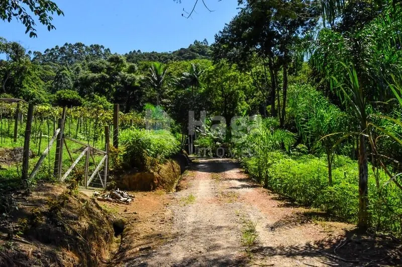Farm for sale of 37 acres in Camboriú, SC, Brazil