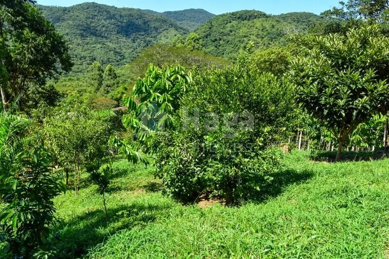 Farm for sale of 37 acres in Camboriú, SC, Brazil