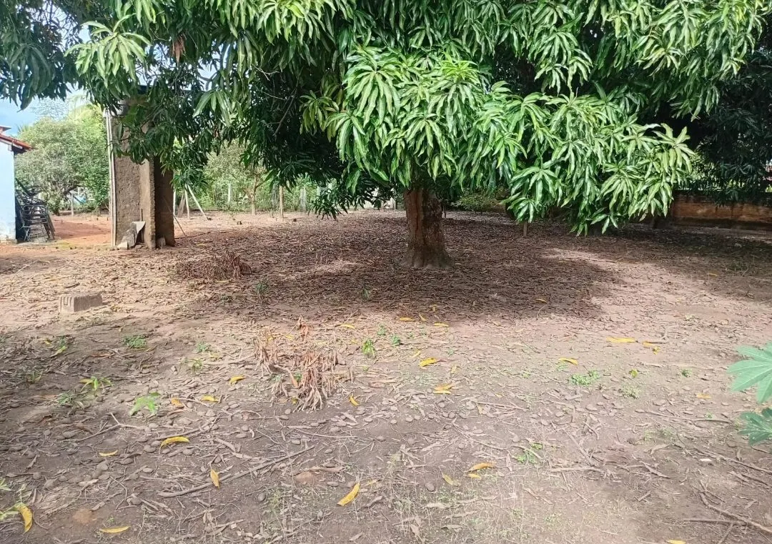 Chácara à venda de 1.200 m² em Luciara, MT, Brasil