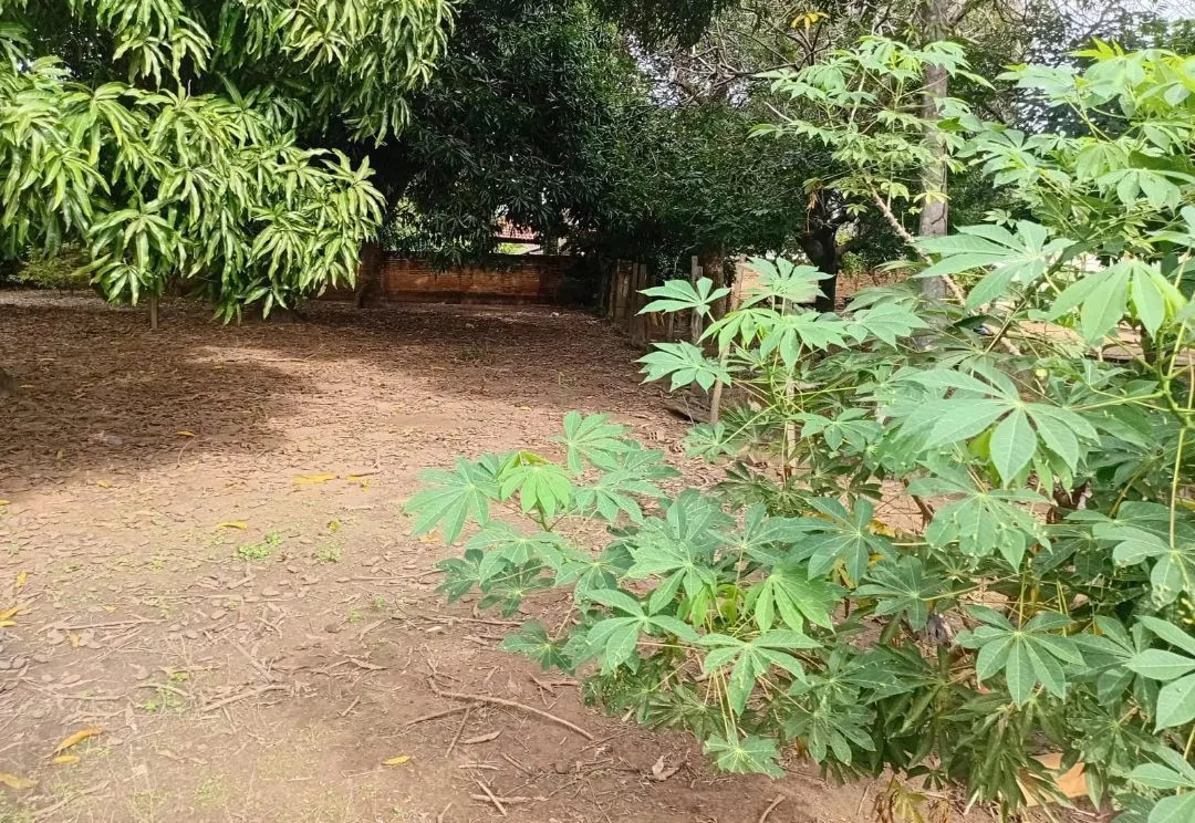 Chácara à venda de 1.200 m² em Luciara, MT, Brasil