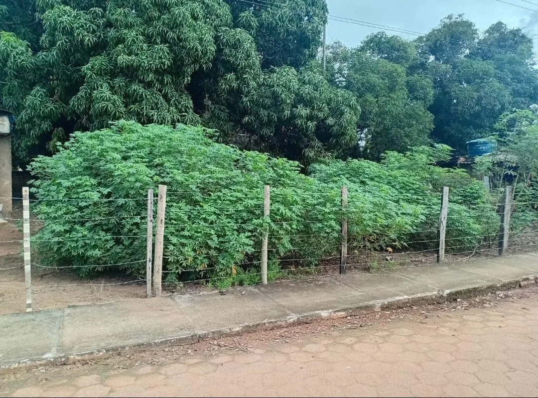 Chácara à venda de 1.200 m² em Luciara, MT, Brasil