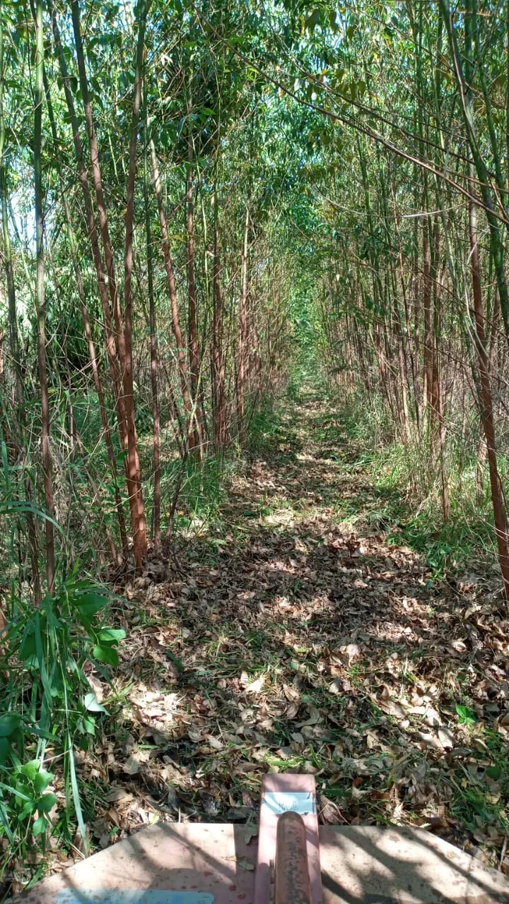 Chácara à venda de 4 ha em São Miguel Arcanjo, SP, Brasil