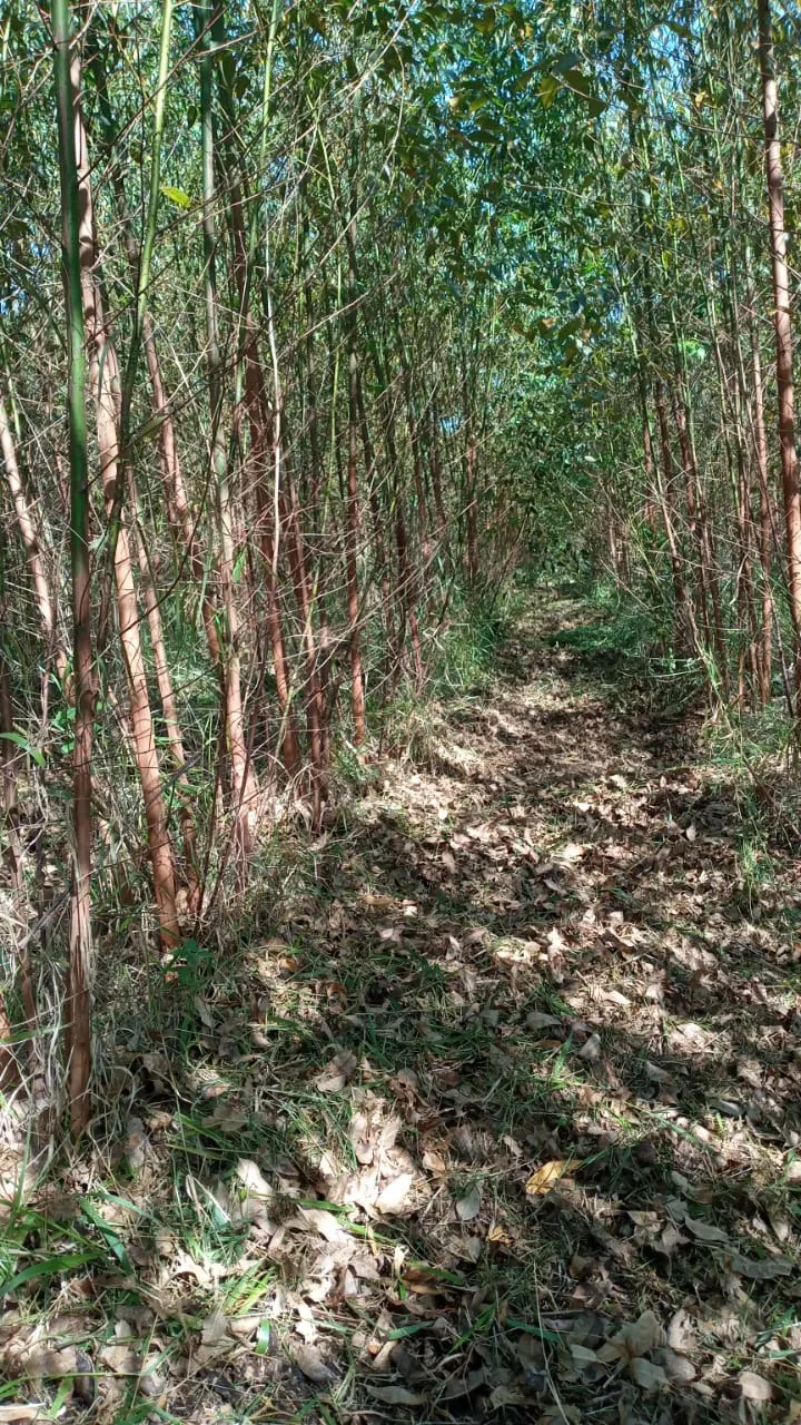 Chácara à venda de 4 ha em São Miguel Arcanjo, SP, Brasil