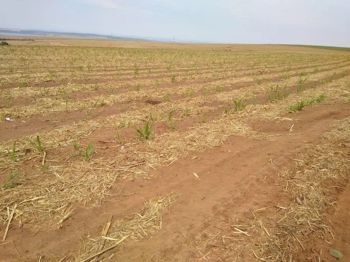 Fazenda à venda de 128 ha em Brotas, SP, Brasil