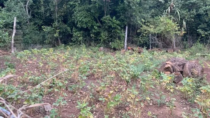 Chácara à venda de 4 ha em Santo Antônio da Patrulha, RS, Brasil