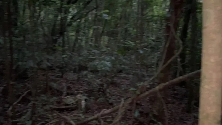Chácara à venda de 4 ha em Santo Antônio da Patrulha, RS, Brasil