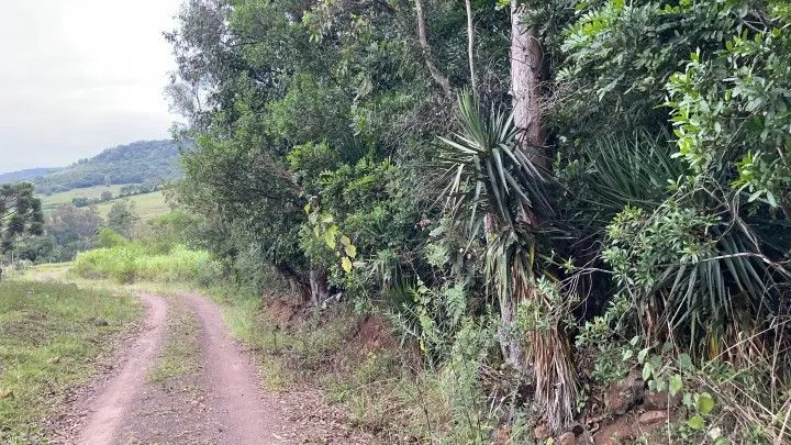 Chácara à venda de 4 ha em Santo Antônio da Patrulha, RS, Brasil