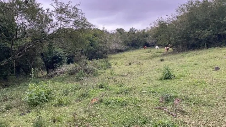 Chácara à venda de 4 ha em Santo Antônio da Patrulha, RS, Brasil