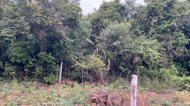 Chácara à venda de 4 ha em Santo Antônio da Patrulha, RS, Brasil