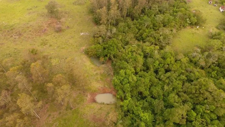 Chácara à venda de 4 ha em Santo Antônio da Patrulha, RS, Brasil