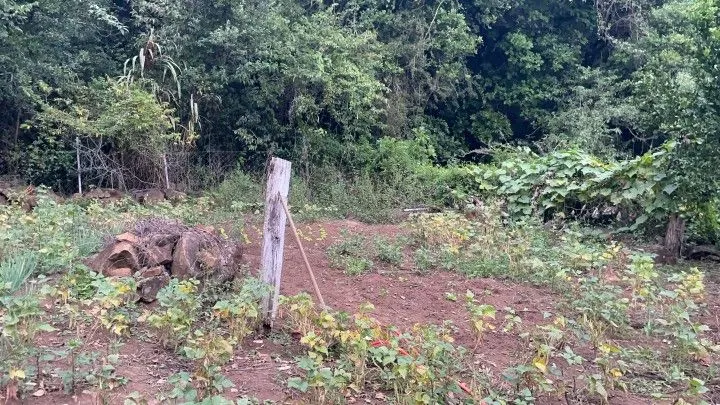 Chácara à venda de 4 ha em Santo Antônio da Patrulha, RS, Brasil