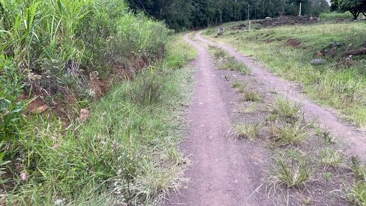 Chácara à venda de 4 ha em Santo Antônio da Patrulha, RS, Brasil
