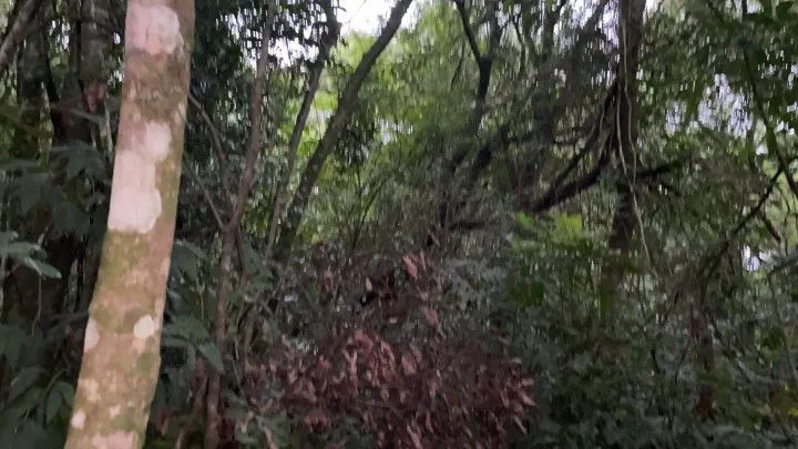 Chácara à venda de 4 ha em Santo Antônio da Patrulha, RS, Brasil