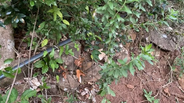 Chácara à venda de 4 ha em Santo Antônio da Patrulha, RS, Brasil