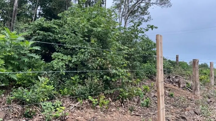 Chácara à venda de 4 ha em Santo Antônio da Patrulha, RS, Brasil