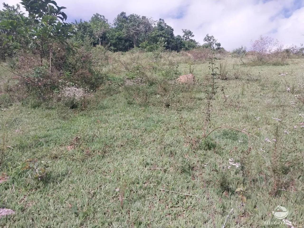Terreno à venda de 3 ha em São José dos Campos, SP, Brasil