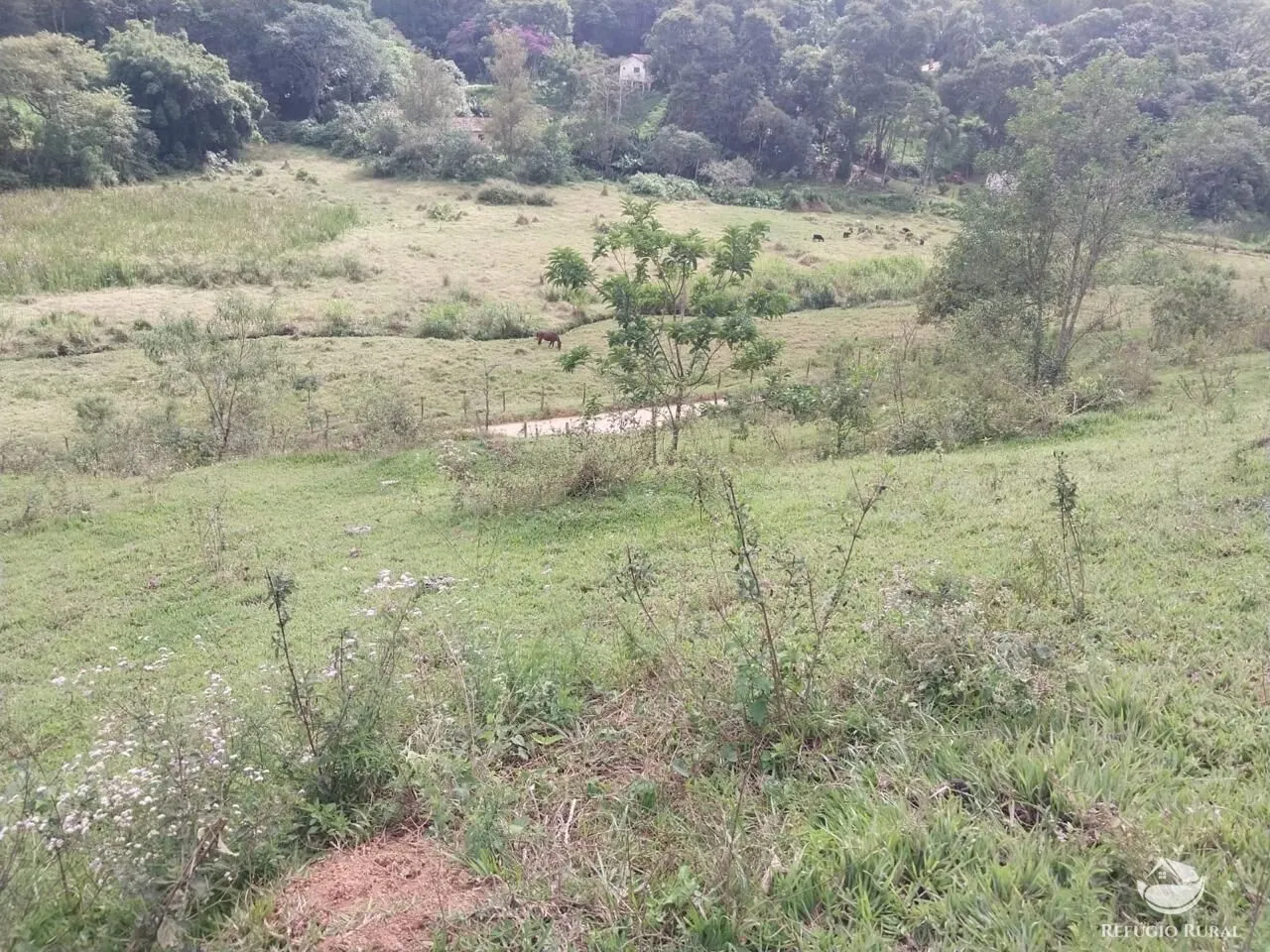 Terreno à venda de 3 ha em São José dos Campos, SP, Brasil